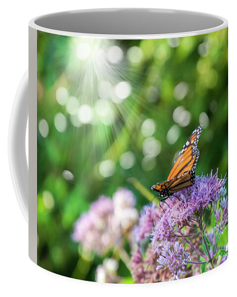 Butterfly Coffee Mug featuring the photograph Butterfly Light by Cathy Kovarik