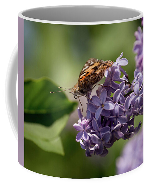 Spring Coffee Mug featuring the photograph Butterfly Lunch by Steph Gabler