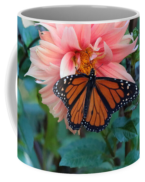 Butterfly Coffee Mug featuring the photograph Butterfly on Dahlia by John Moyer