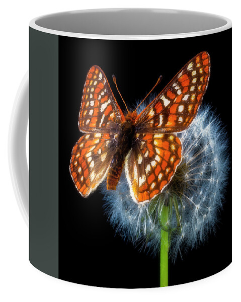 Dandelion Coffee Mug featuring the photograph Butterfly On Dandelion Ball by Garry Gay