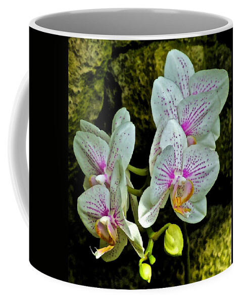 Orchids Coffee Mug featuring the photograph Butterfly Orchids by Janis Senungetuk