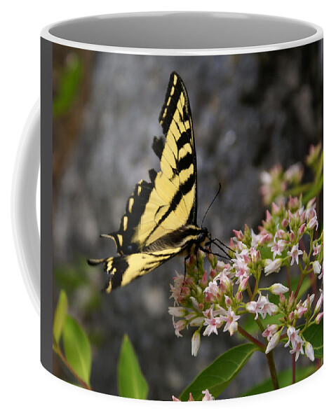 Butterfly Coffee Mug featuring the photograph Butterfly Photo #18 by Ben Upham III