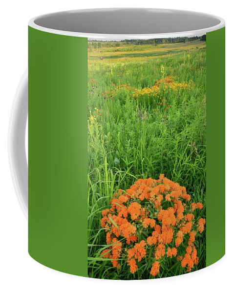 Illinois Coffee Mug featuring the photograph Butterfly Weed Prairie by Ray Mathis