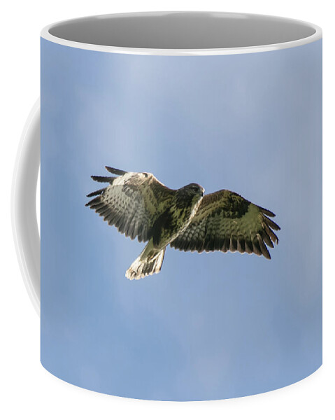 ©wendy Cooper Coffee Mug featuring the photograph Buzzard by Wendy Cooper