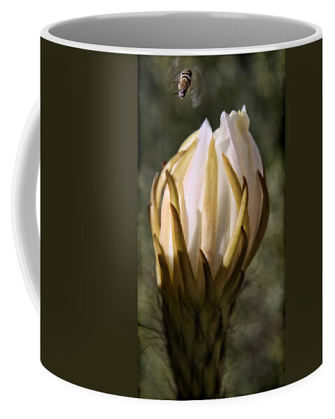Cactus Bloom Coffee Mug featuring the photograph Buzzz by Tammy Espino