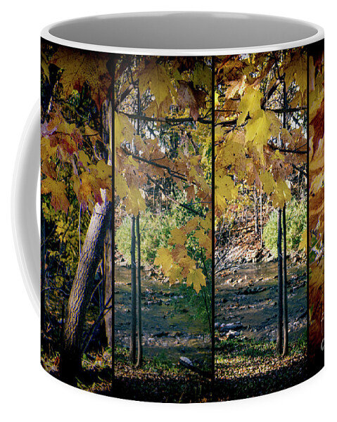 Fall Coffee Mug featuring the photograph By the Creek by William Norton