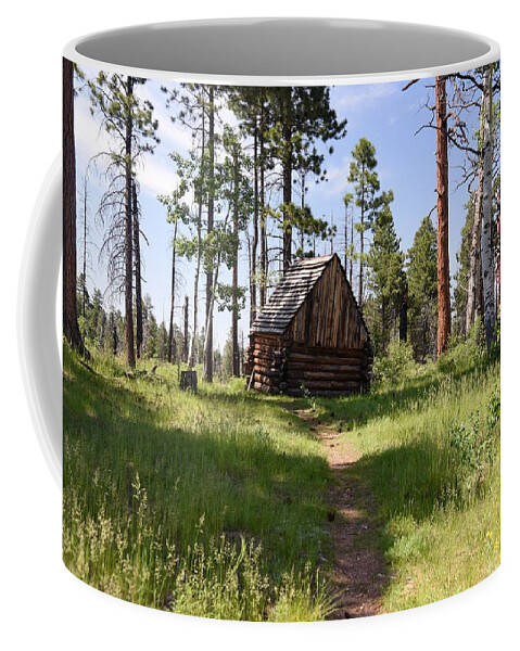 Photograph Coffee Mug featuring the photograph Cabin in the Woods by Richard Gehlbach