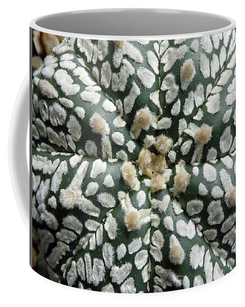 Cactus Coffee Mug featuring the photograph Cactus 1 by Selena Boron