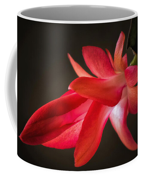 Cactus Coffee Mug featuring the photograph Cactus Bloom Aglow by James Barber