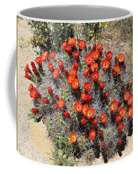 Cactus Bloom In Jtnp Coffee Mug featuring the photograph Cactus Bloom In JTNP by Viktor Savchenko