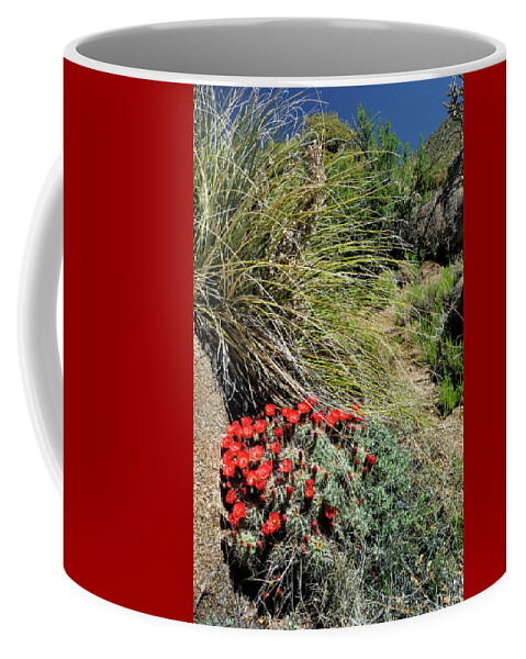 Landscape Coffee Mug featuring the photograph Crimson Barrel Cactus by Ron Cline