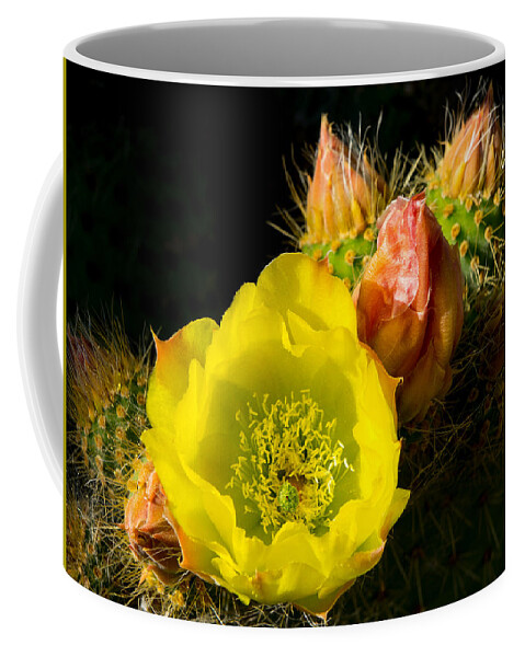 Cactus Coffee Mug featuring the photograph Cactus Blossom by Derek Dean
