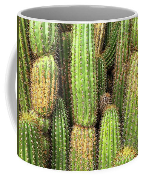 Cactus Coffee Mug featuring the photograph Cactus City by Matt Cegelis