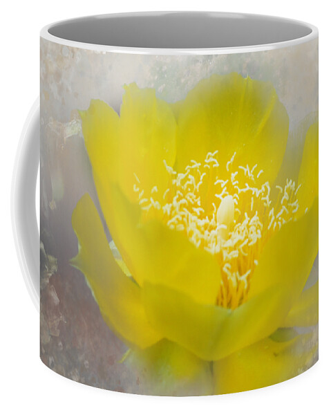 Floral Coffee Mug featuring the photograph Cactus Flower by Judy Hall-Folde