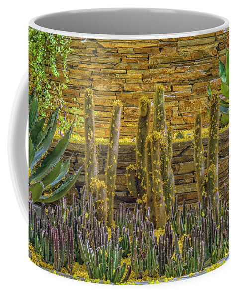 Cactus Coffee Mug featuring the photograph Cactus Garden 5861-041118-1cr by Tam Ryan