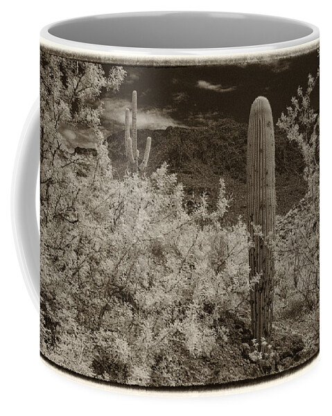Infrared Coffee Mug featuring the photograph Cactus in a different light by Michael McGowan