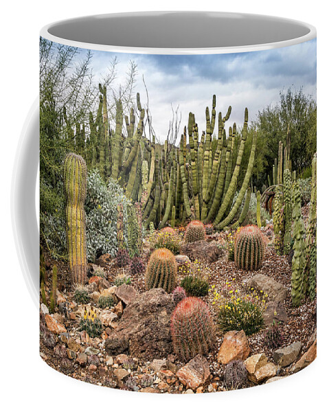 Arid Coffee Mug featuring the photograph Cactus Party by David Levin