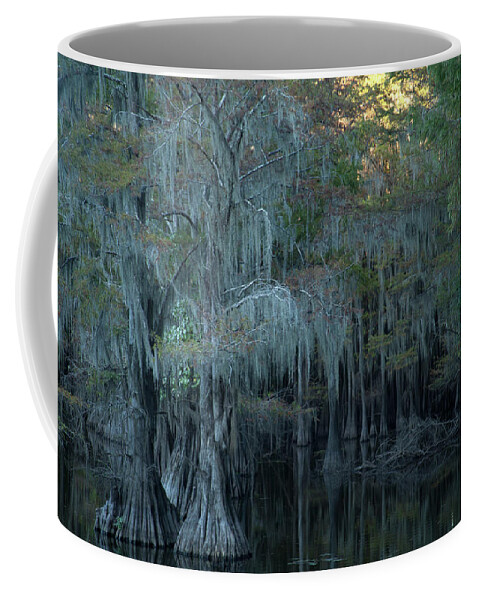 Caddo Lake Coffee Mug featuring the photograph Caddo Lake #2 by David Chasey