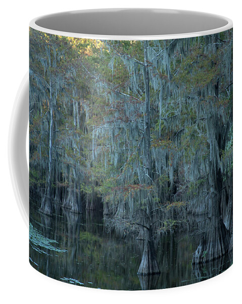 Trees Coffee Mug featuring the photograph Caddo Lake #3 by David Chasey