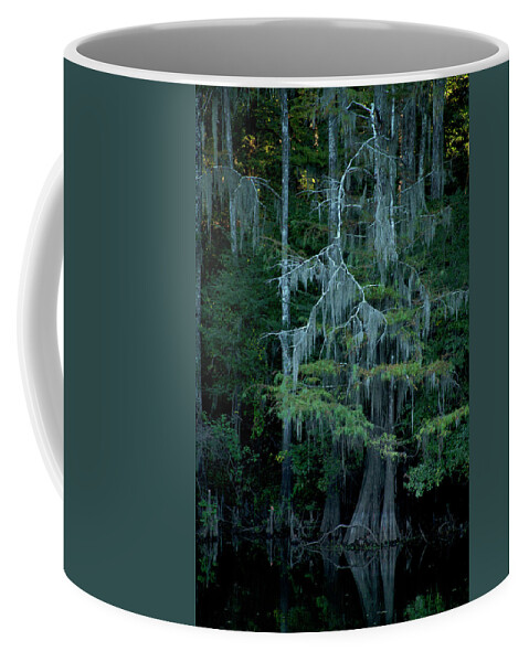 Bayou Trees Coffee Mug featuring the photograph Caddo Lake #4 by David Chasey