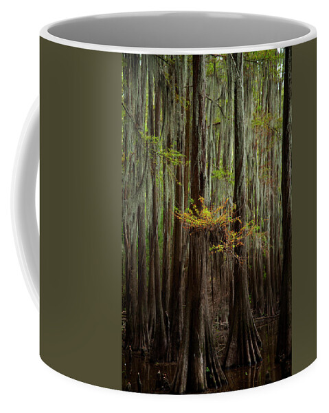 Swamp Trees Coffee Mug featuring the photograph Caddo Lake #5 by David Chasey