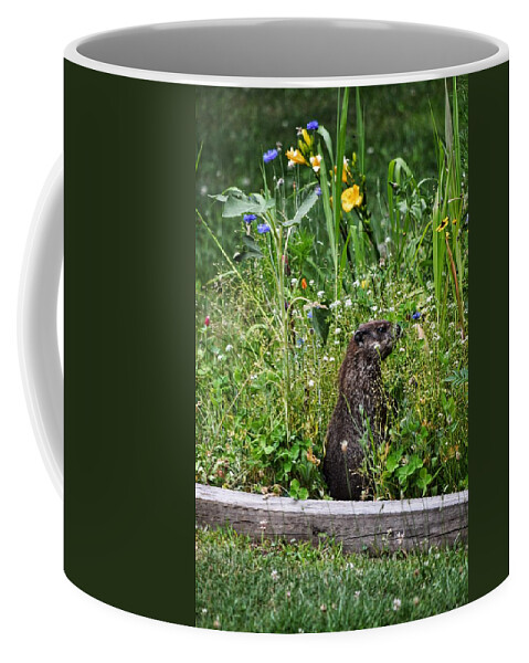 This Photograph Was Taken In Connecticut. Coffee Mug featuring the photograph Caddyshack by Joseph Caban
