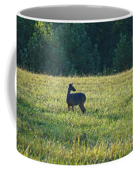 Cades Cove Coffee Mug featuring the photograph Cades Doe by Laurie Perry