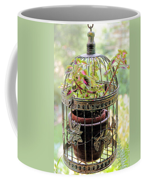 Vintage Bird Cage Coffee Mug featuring the photograph Caged Coleus by Allen Nice-Webb
