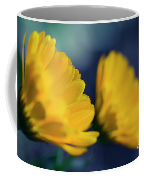 Calendula Coffee Mug featuring the photograph Calendula Flowers by Sharon Mau