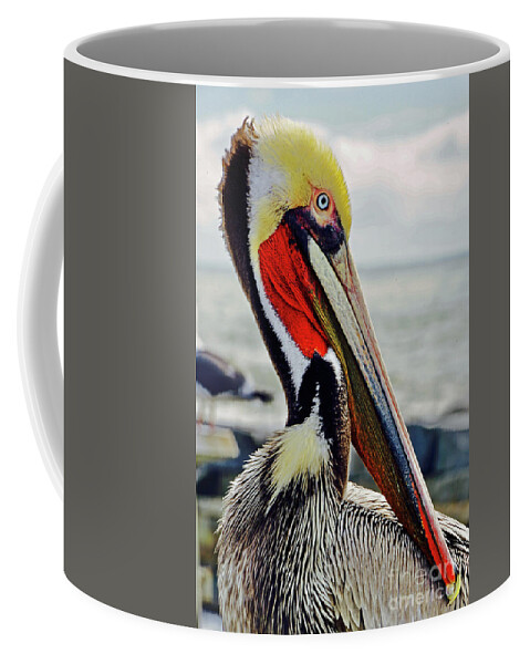 Bird Coffee Mug featuring the photograph California Brown Pelican by Michael Cinnamond