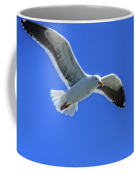 Bird Coffee Mug featuring the photograph California Gull by Robert Bales