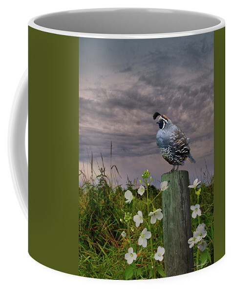 Bird Coffee Mug featuring the digital art California Quail and Milkmaids by M Spadecaller