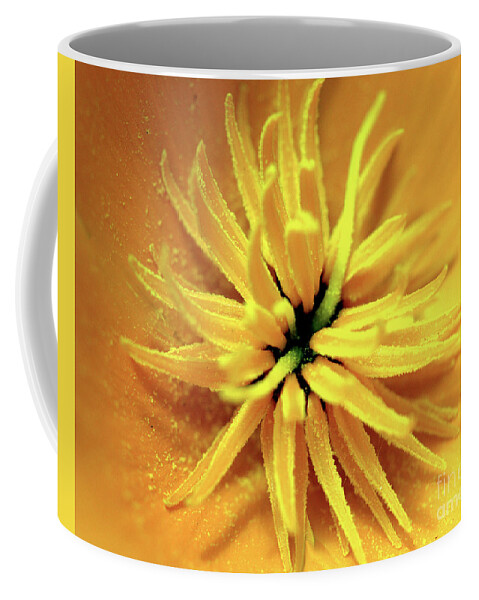 Californian Coffee Mug featuring the photograph Californian Poppy Macro by Stephen Melia