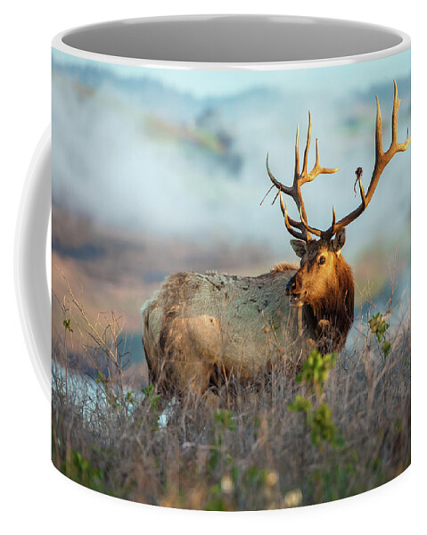 Animal Coffee Mug featuring the photograph Call Of The Elk 2 by Jonathan Nguyen