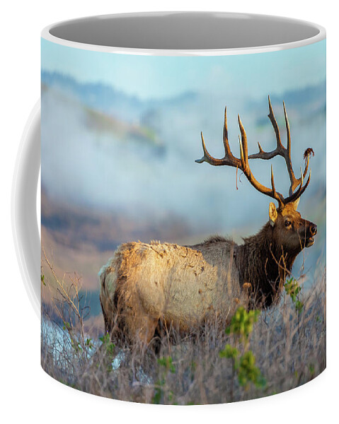 Animal Coffee Mug featuring the photograph Call Of The Elk by Jonathan Nguyen