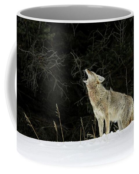 Coyote Coffee Mug featuring the photograph Call of the Wild by Ronnie And Frances Howard