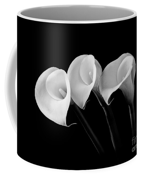 Flower Coffee Mug featuring the photograph Calla Lilies - Black and White by Larry Carr
