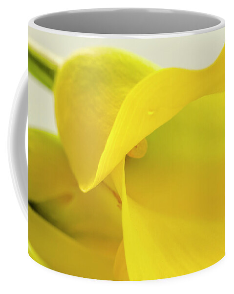 Anniversary Coffee Mug featuring the photograph Calla Lily in Yellow by Teri Virbickis
