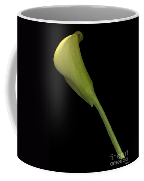 Limited Edition 1/250 Coffee Mug featuring the photograph Calla Lily Stem by Heather Kirk
