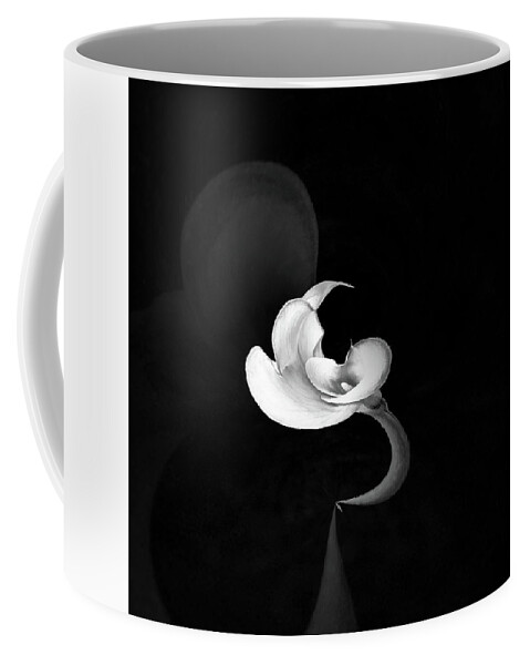Calla Lily Coffee Mug featuring the photograph Calla Lily Study 1 by Usha Peddamatham