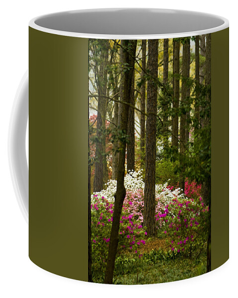 Callaway Coffee Mug featuring the photograph Callaway Gardens Spring Azaleas by Kathy Clark