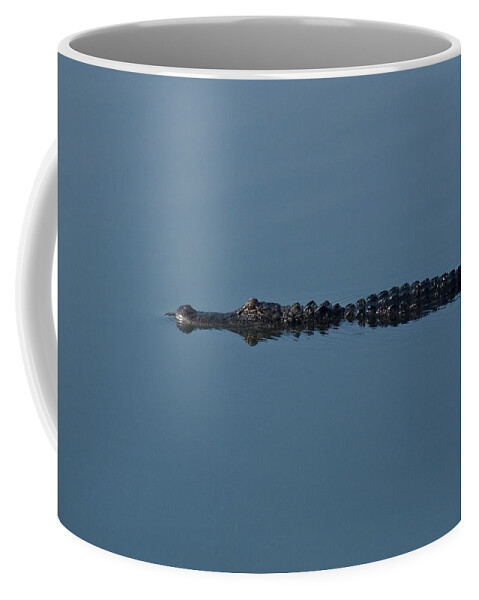 Alligator Coffee Mug featuring the photograph Calm Water Cruise by Steven Sparks