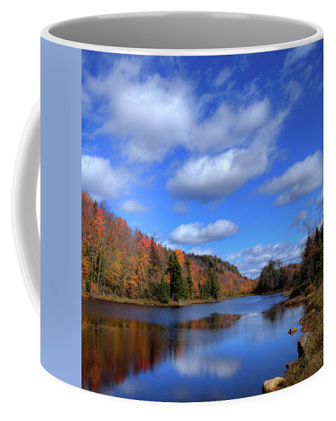 Adirondack's Coffee Mug featuring the photograph Calmness on Bald Mountain Pond by David Patterson