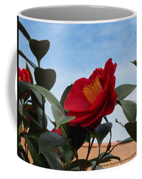 Botanical Coffee Mug featuring the photograph Camellia Kissing the Sky by Richard Thomas