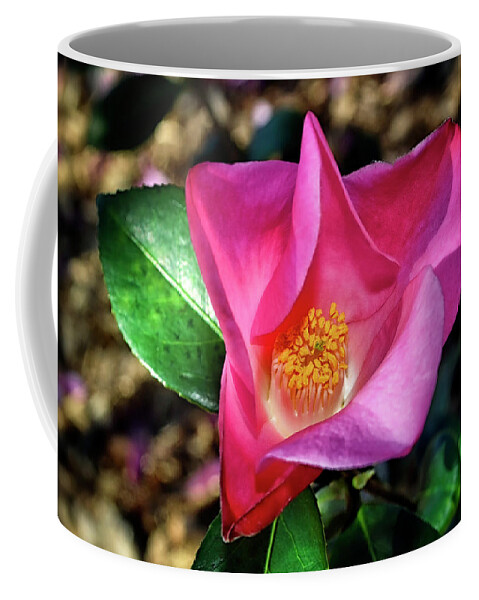 Camellia. Flower Coffee Mug featuring the photograph Camellia - Tulip Time 001 by George Bostian