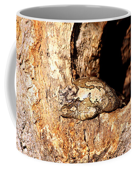 Nature Coffee Mug featuring the photograph Camouflaged Tree Frog by Sheila Brown