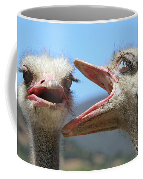 Ostrichland; Solvang; California; Ostrich; Wildlife; Nature Outdoors; Summer; Heat; Talkative; Didesigns; Di Designs Graphics; Diana L Elliott; Photographer; Artist; Brooklyn; New York City; New York; Usa Coffee Mug featuring the photograph Can Ya Hear Me NOW? by DiDesigns Graphics