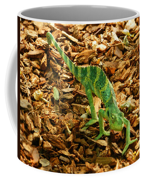 Can You See Me Now Coffee Mug featuring the photograph Can You See Me Now? by Emmy Marie Vickers