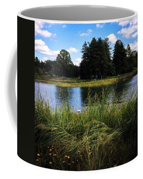 Egret Coffee Mug featuring the photograph Can You Spot The Egret by Nick Heap