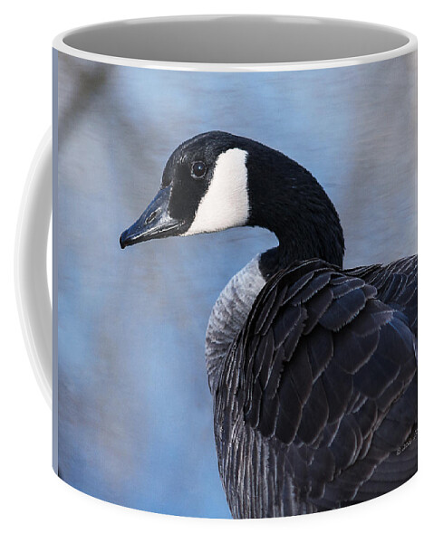 Heron Heaven Coffee Mug featuring the photograph Canada Goose Preening 3 by Ed Peterson